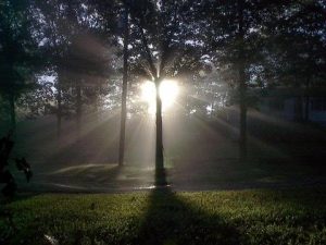 Aux yeux d'une Chamane La vie aux yeux d'une Chamane
