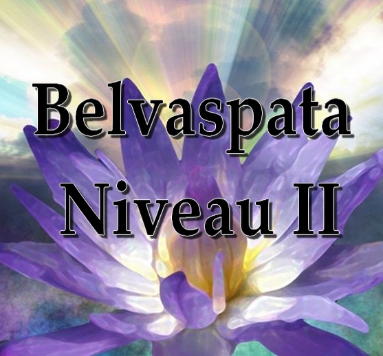 InitiationBelvaspataNiveau-II Séminaire d'Initiation au Niveau II du Belvaspata