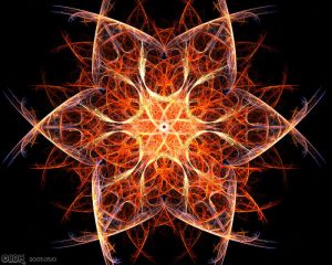 Apophysis Atelier Toltèque de Rééquilibrage Énergétique