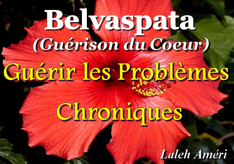 7ème et dernier CD de Guérison des Problèmes Chroniques